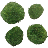 Mousse naturelle stabilisée forme arrondie  - Vert foncé - Lot de 4