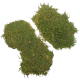Mousse plate verte stabilisée - 150 grammes