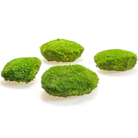 Mousse naturelle stabilisée forme arrondie - Vert clair - Lot de 4