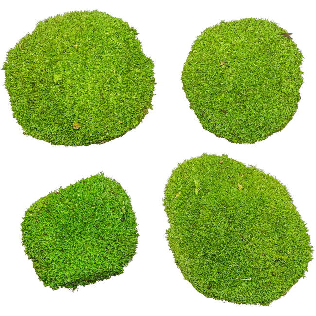 Mousse naturelle stabilisée forme arrondie - Vert clair - Lot de 4