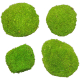 Mousse naturelle stabilisée forme arrondie - Vert clair - Lot de 4