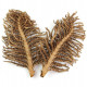 Feuilles de palmier déco grande palme - Lot de 2