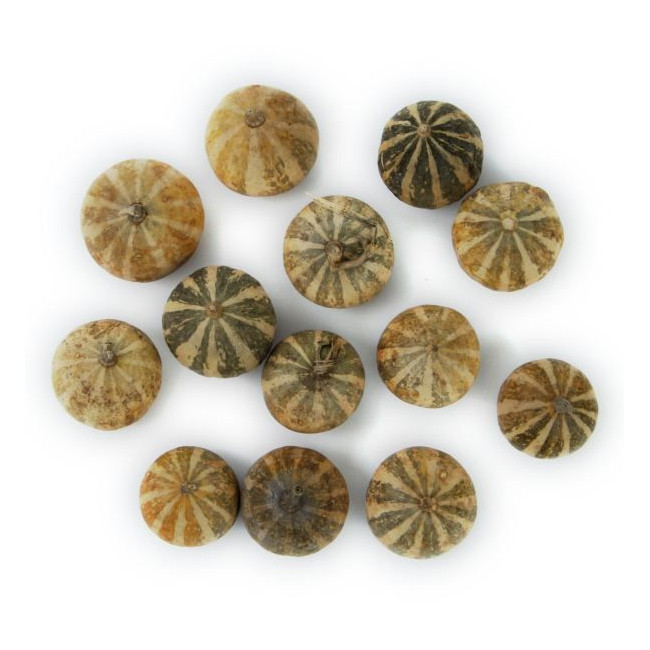 Mini melons pour la décoration - Lot de 5