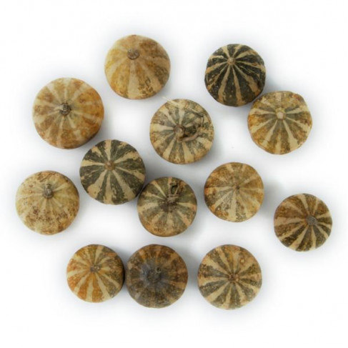 Mini melons pour la décoration - Lot de 5