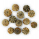Mini melons pour la décoration - Lot de 5