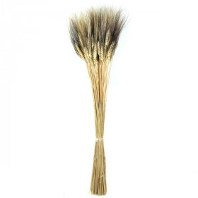 Bouquet botte de blé à barbe noire
