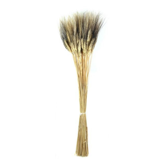 Bouquet botte de blé à barbe noire