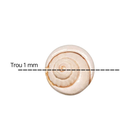 Petits coquillages percés oeil de Shiva - 1.5 cm - Lot de 20