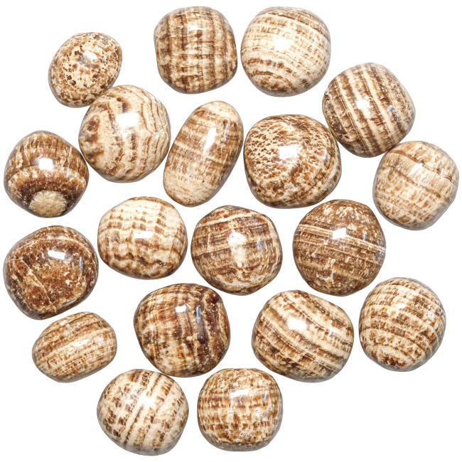 Pierres roulées aragonite zonée marron - 2 à 3 cm - Lot de 2