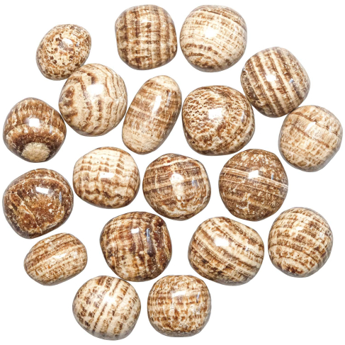 Pierres roulées aragonite zonée marron - 2 à 3 cm - Lot de 2