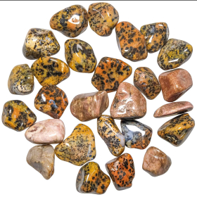 Pierres roulées agate cheetah - 2 à 3 cm - Lot de 2