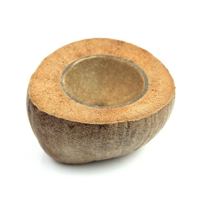 Bol dans une noix de coco brute