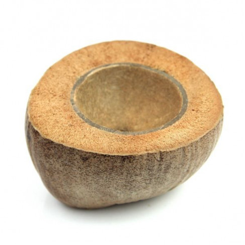 Bol dans une noix de coco brute