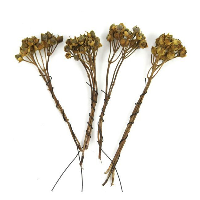 Branches d'asar - Lot de 4