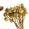 Branches d'asar - Lot de 4