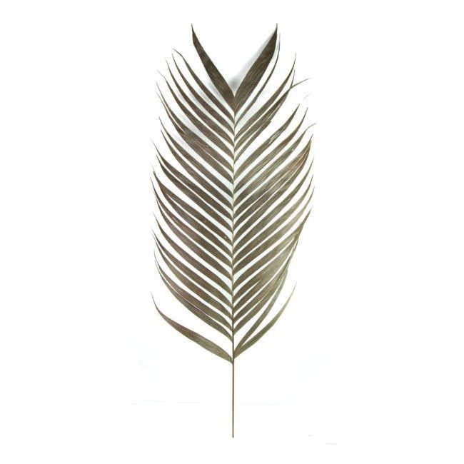 Feuilles de palmier naturelles aréca - Lot de 2