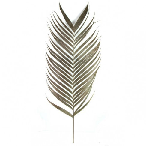 Feuilles de palmier naturelles aréca - Lot de 2