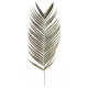 Feuilles de palmier naturelles aréca - Lot de 2
