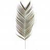 Feuilles de palmier naturelles aréca - Lot de 2