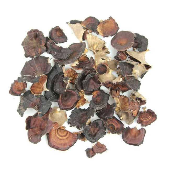 Champignons bruns des forêts pour la décoration - 40 grammes