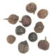 Fruits déco leather séchés - 100 grammes