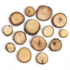 Rondelles brutes de bois de chêne déco - 250 grammes