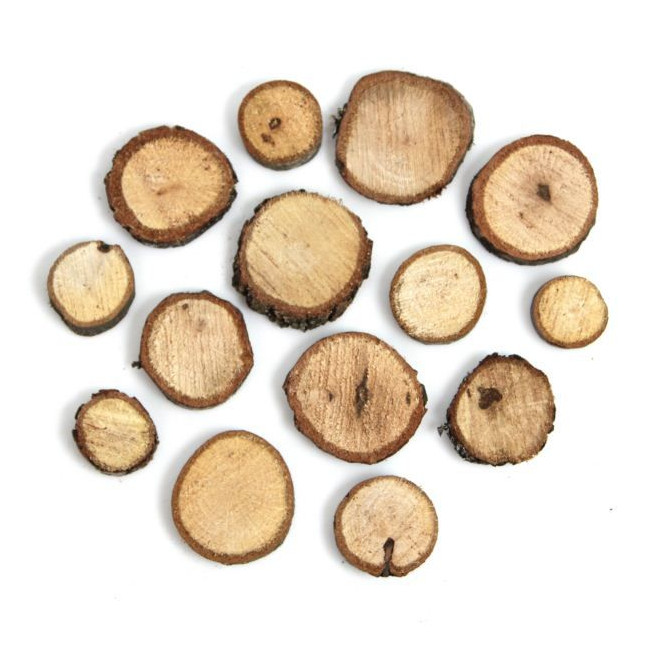 Rondelles brutes de bois de chêne déco - 250 grammes
