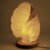 Lampe coquillage voluta melo