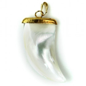 Pendentif griffe en nacre de trocha