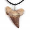Pendentif dent de requin fossilisée avec cordon