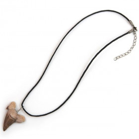 Pendentif dent de requin fossilisée avec cordon