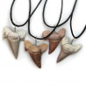 Pendentif dent de requin fossilisée avec cordon