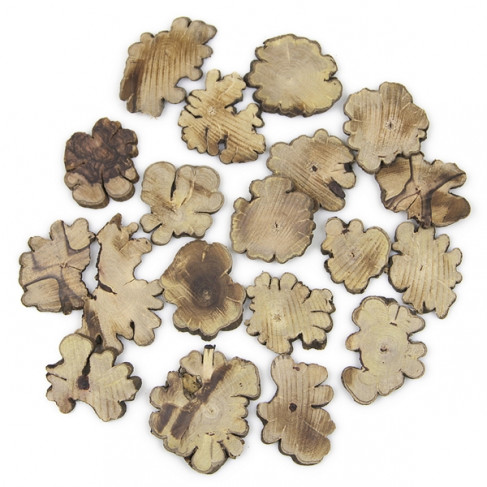 Tranches de bois boursouflé - Lot de 20 pièces