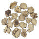 Tranches de bois boursouflé - Lot de 20 pièces