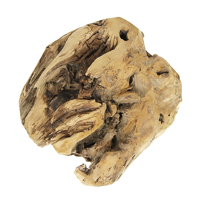 Racine en teck déco - 2.3 kg