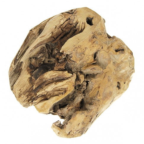 Racine en teck déco - 2.3 kg