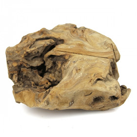 Racine en teck déco - 2.3 kg