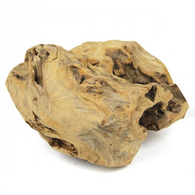 Racine en teck déco - 2.3 kg