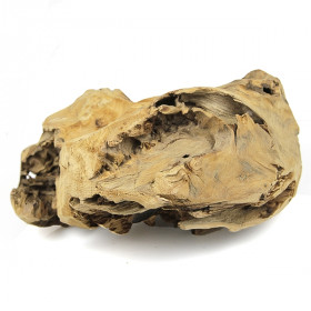 Racine en teck déco - 2.3 kg