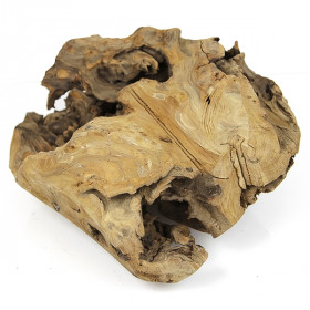 Racine en teck déco - 2.3 kg