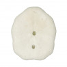 Tests d'oursins laganum laganum - 3 à 4 cm - Lot de 4