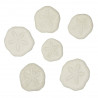 Tests d'oursins laganum laganum - 3 à 4 cm - Lot de 4