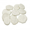 Tests d'oursins laganum laganum - 3 à 4 cm - Lot de 4