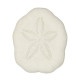 Tests d'oursins laganum laganum - 3 à 4 cm - Lot de 4