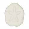 Tests d'oursins laganum laganum - 3 à 4 cm - Lot de 4