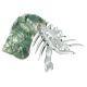 Bernard l'hermite en cristal dans un coquillage burgo vert