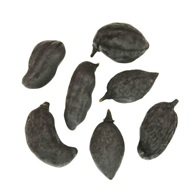 Fruits du baobab déco noirs - Lot de 3