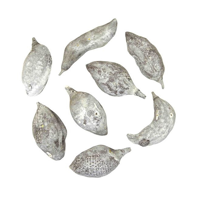 Fruits du baobab déco gris lavés - Lot de 3
