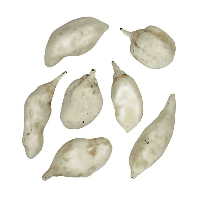 Fruits du baobab déco blancs - Lot de 3