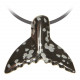 Pendentif pierre percée queue de baleine en obsidienne neige